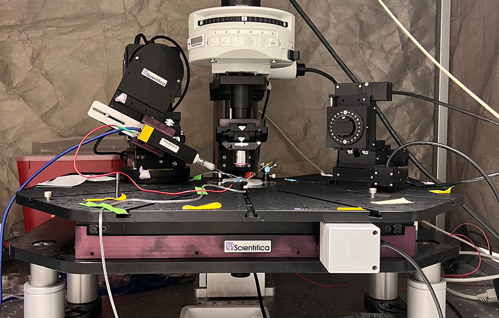 neuro design suite instrumentation