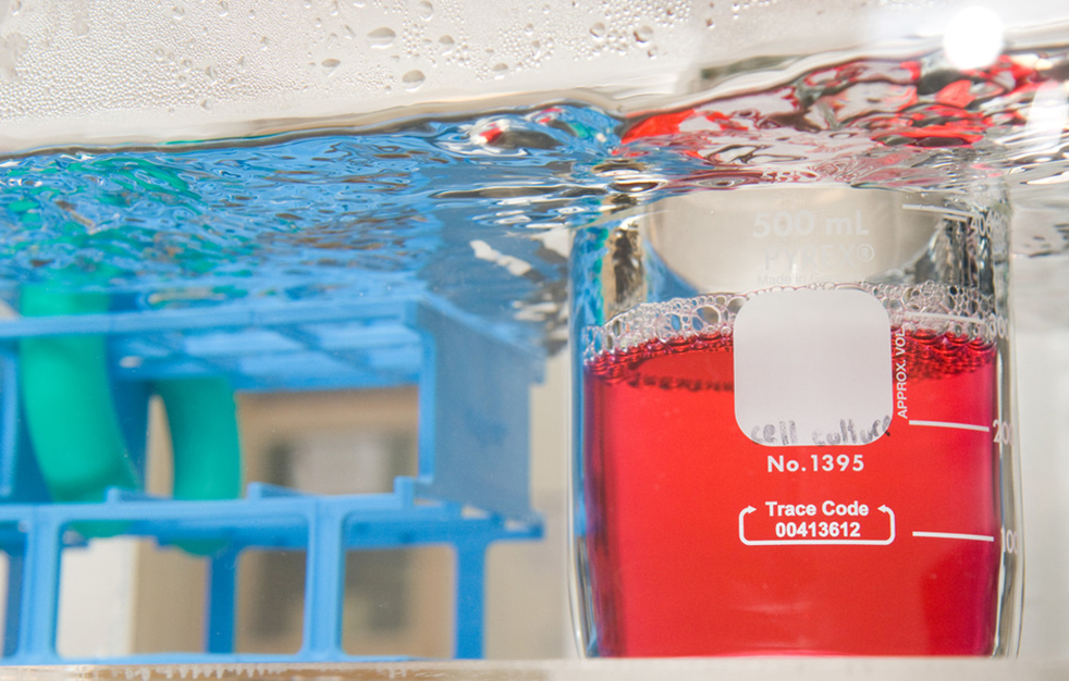 closeup image of a cell culture as shown as a red liquid in a beaker