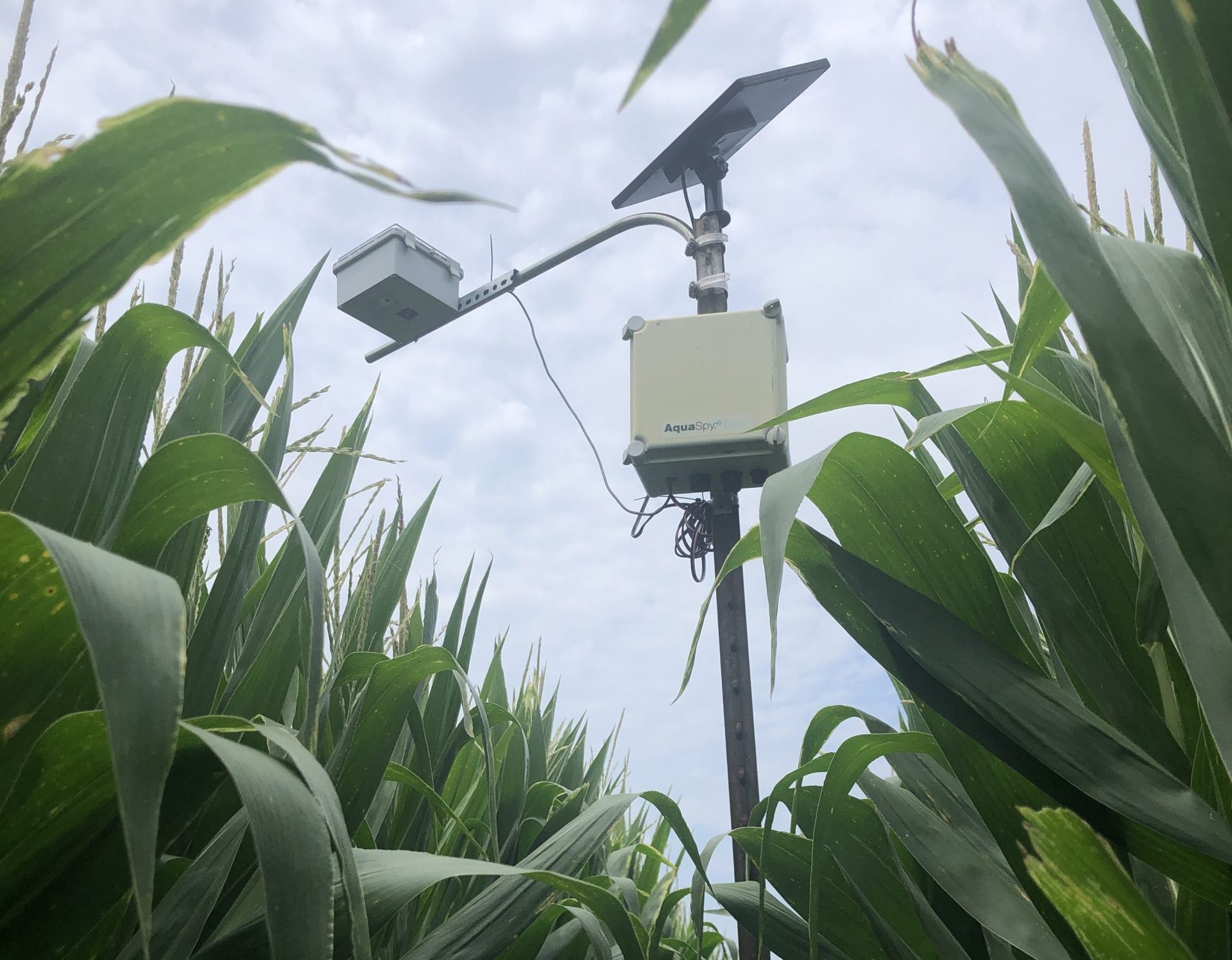 A solar-powered data collection tool placed in a farm